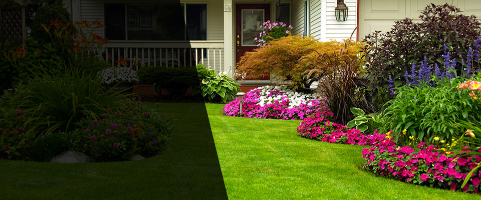 Paul Landscapers
