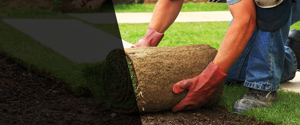 Paul Landscapers